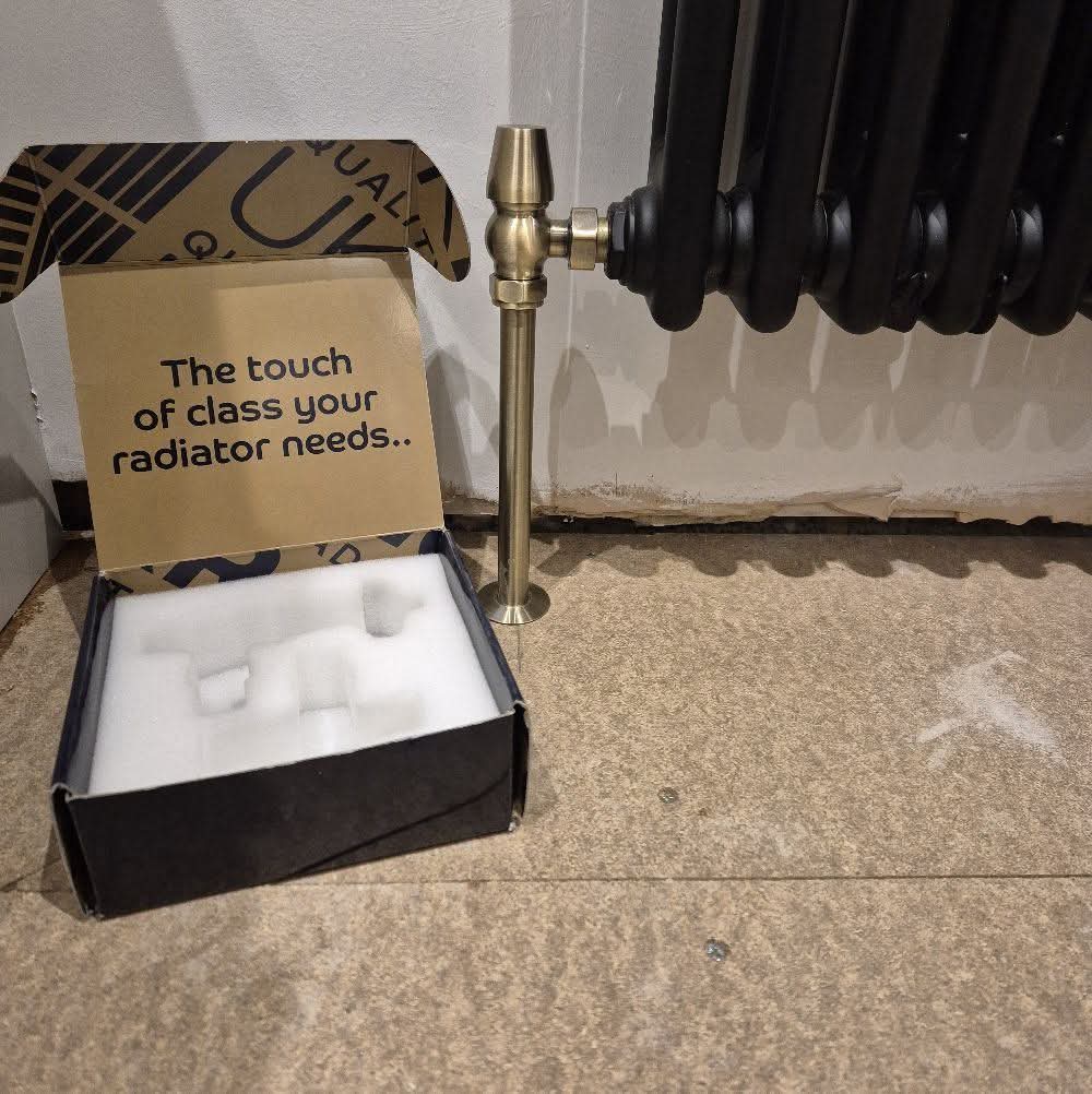 A black column radiator with a brushed brass valve